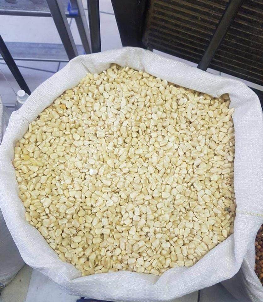 Maize