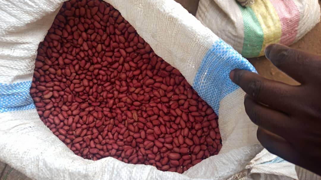 Groundnuts